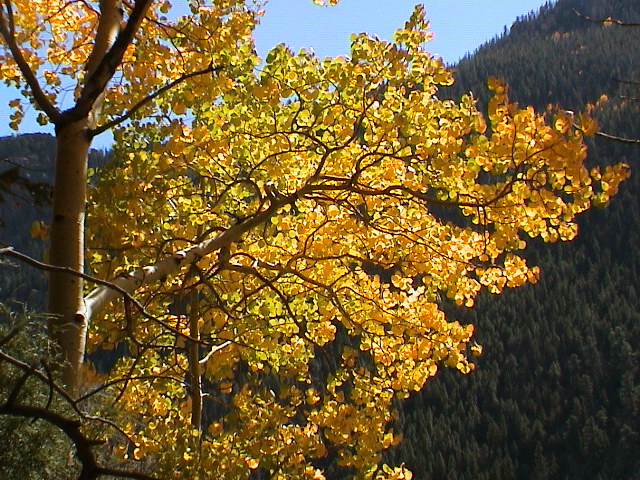 DSC00059.JPG
