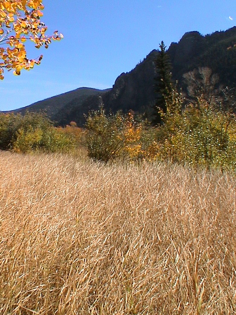 DSC00060.JPG