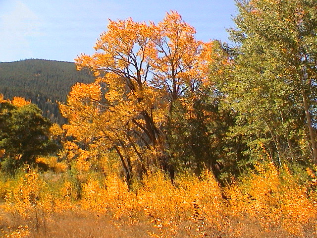 DSC00061.JPG