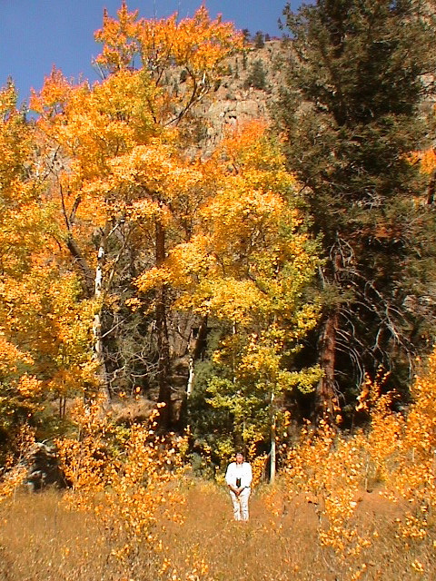 DSC00062.JPG