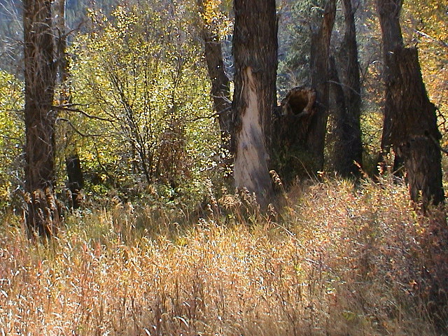 DSC00063.JPG