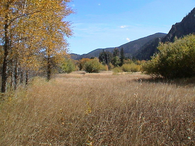 DSC00065.JPG