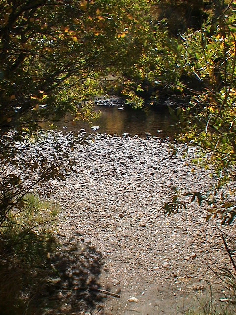 DSC00068.JPG