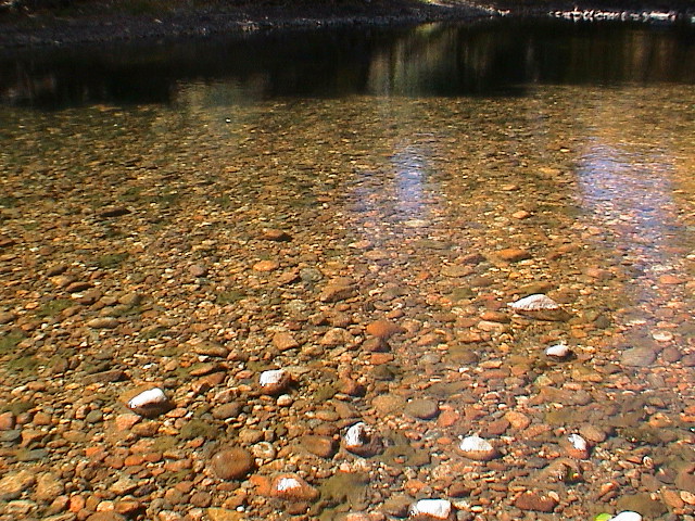 DSC00070.JPG