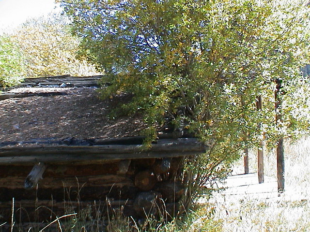 DSC00077.JPG
