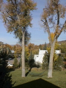 DSC00031.JPG