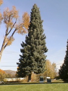 DSC00040.JPG
