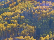 DSC00041.JPG