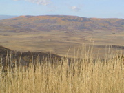 DSC00043.JPG