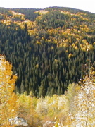 DSC00044.JPG