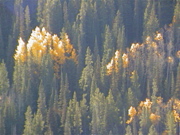 DSC00045.JPG
