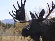 DSC00046.JPG