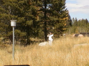 DSC00048.JPG