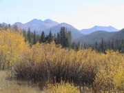 DSC00049.JPG