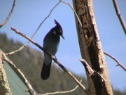 DSC00050.JPG