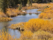 DSC00052.JPG
