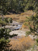 DSC00055.JPG