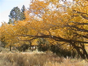 DSC00057.JPG