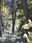 DSC00058.JPG