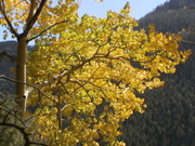 DSC00059.JPG