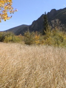 DSC00060.JPG