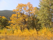 DSC00061.JPG