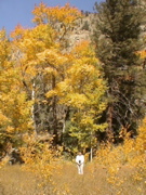 DSC00062.JPG