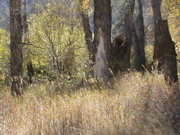 DSC00063.JPG