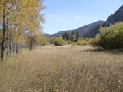 DSC00065.JPG