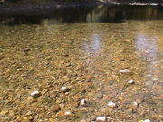 DSC00070.JPG