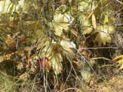 DSC00073.JPG
