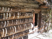 DSC00076.JPG