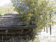 DSC00077.JPG