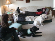 DSC00002.JPG