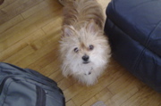 DSC02282.JPG
