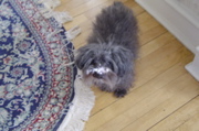 DSC02283.JPG