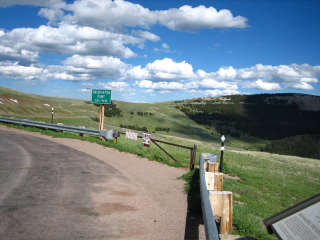 Picture 010