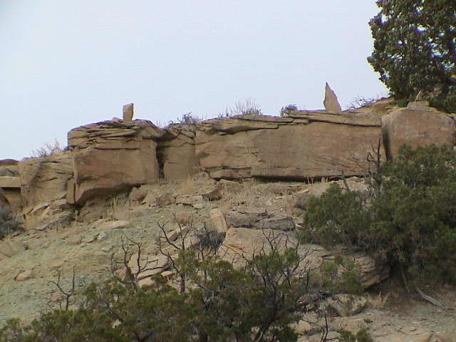 DSC00129.JPG