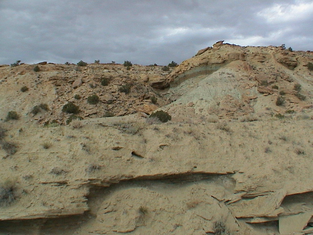 DSC00131.JPG