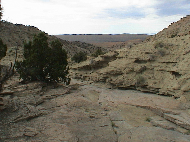DSC00132.JPG