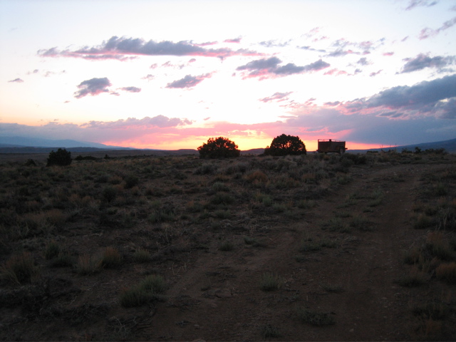 Picture 153