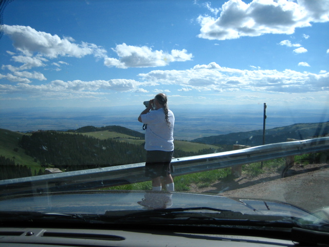 Picture 013