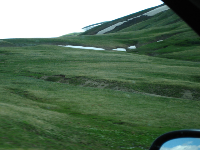 Picture 014