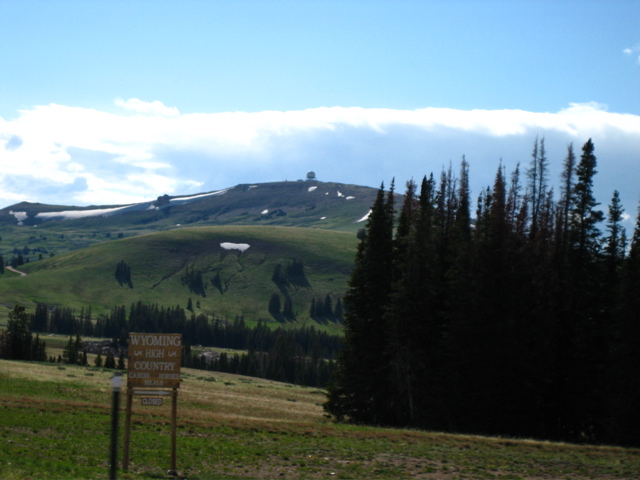 Picture 016