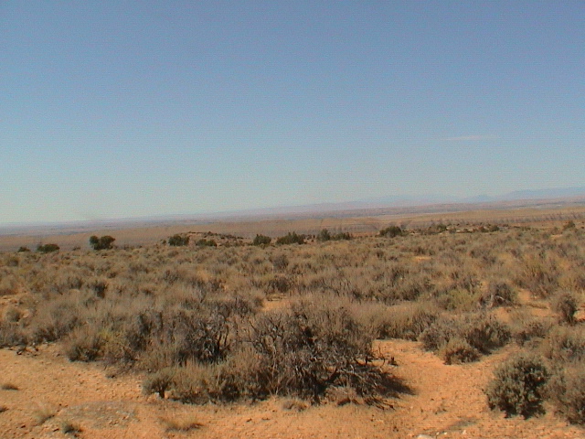 DSC00114.JPG