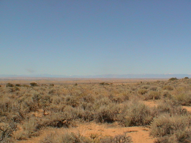 DSC00117.JPG