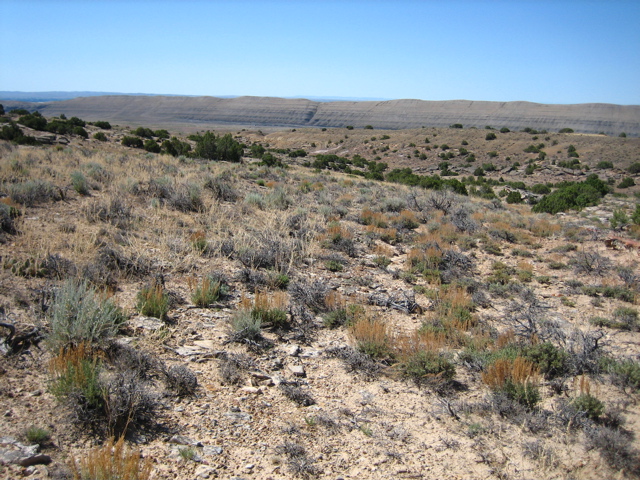 Picture 026