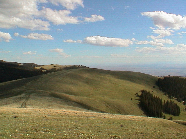 DSC00111.JPG