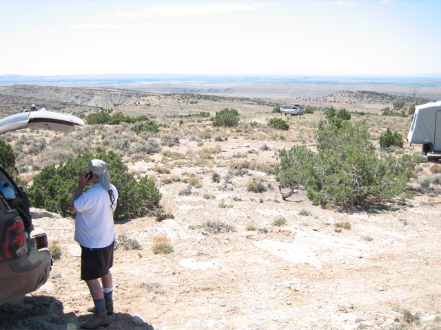 Picture 067