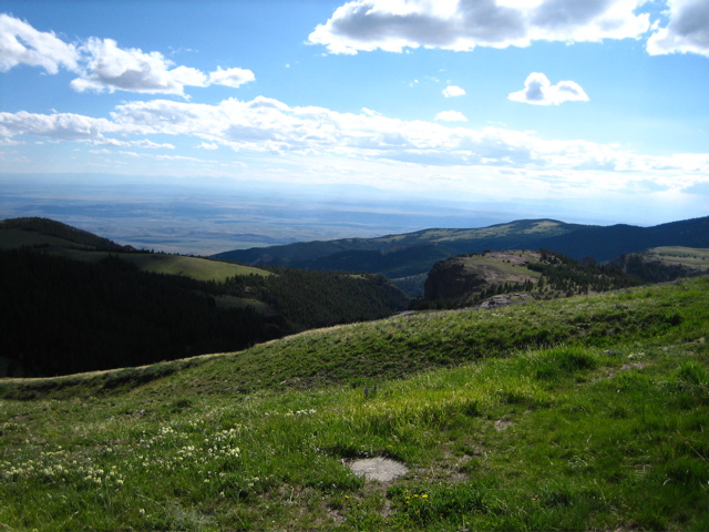 Picture 007